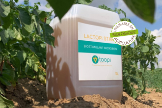 fertilisant-naturel-lactopi-start